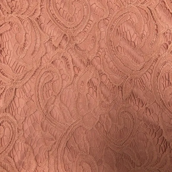 Adrianna Papell Warm Blush Lace Pencil Skirt - Size Large