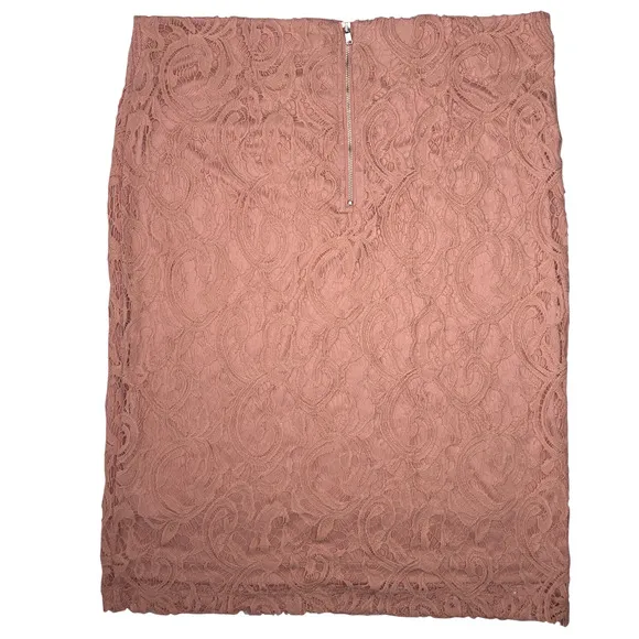Adrianna Papell Warm Blush Lace Pencil Skirt - Size Large