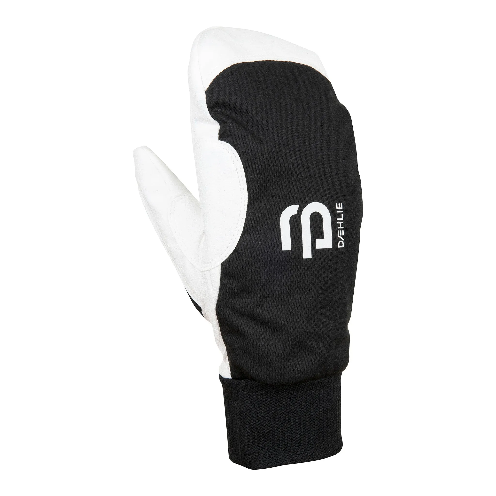 BJORN DAEHLIE MITTEN RACE WARM - HOMME