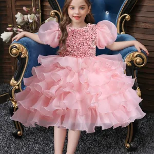 Cute Elegant Puff Sleeve Mesh Princess Dress