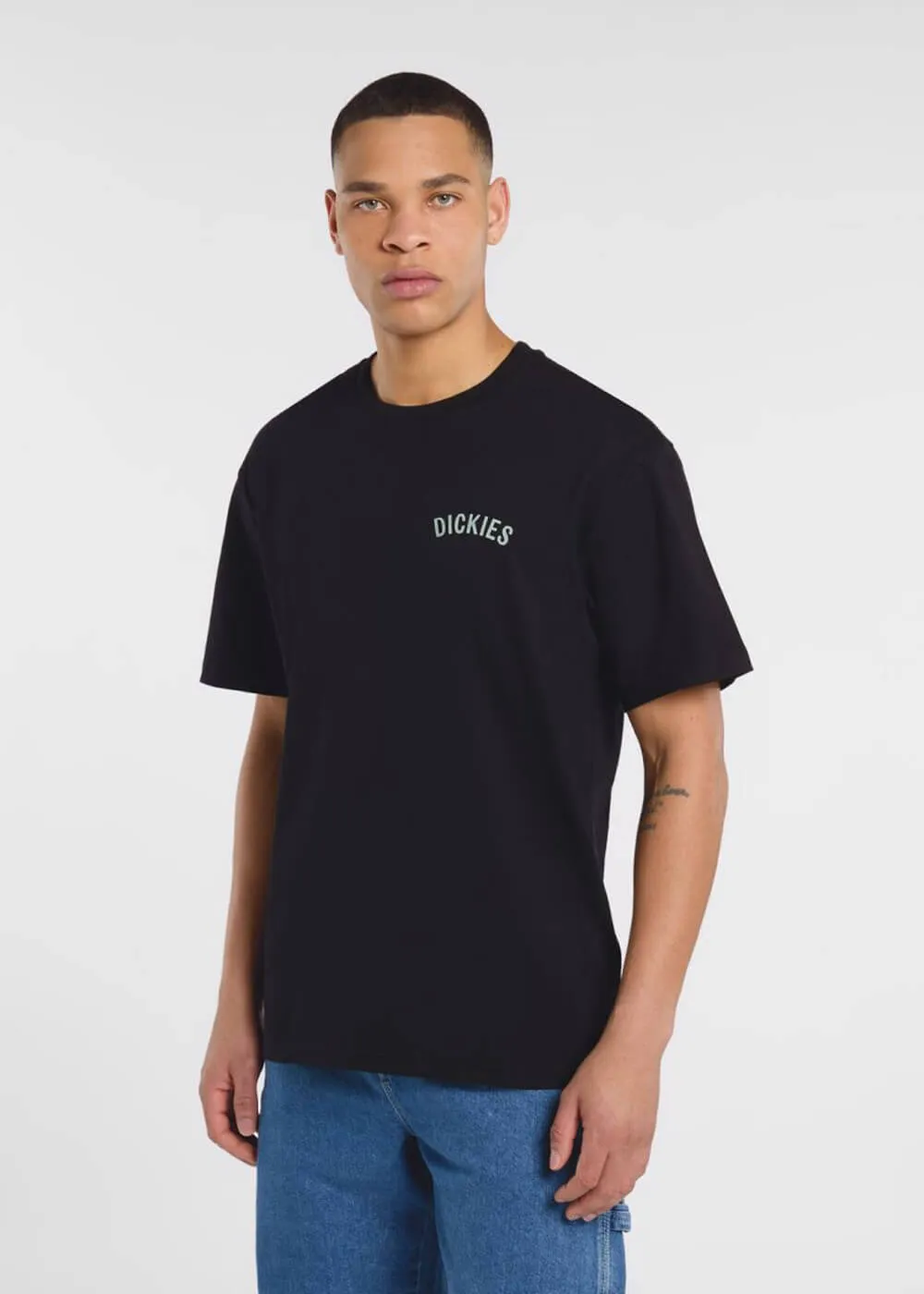 Dickies Snake T-Shirt Black