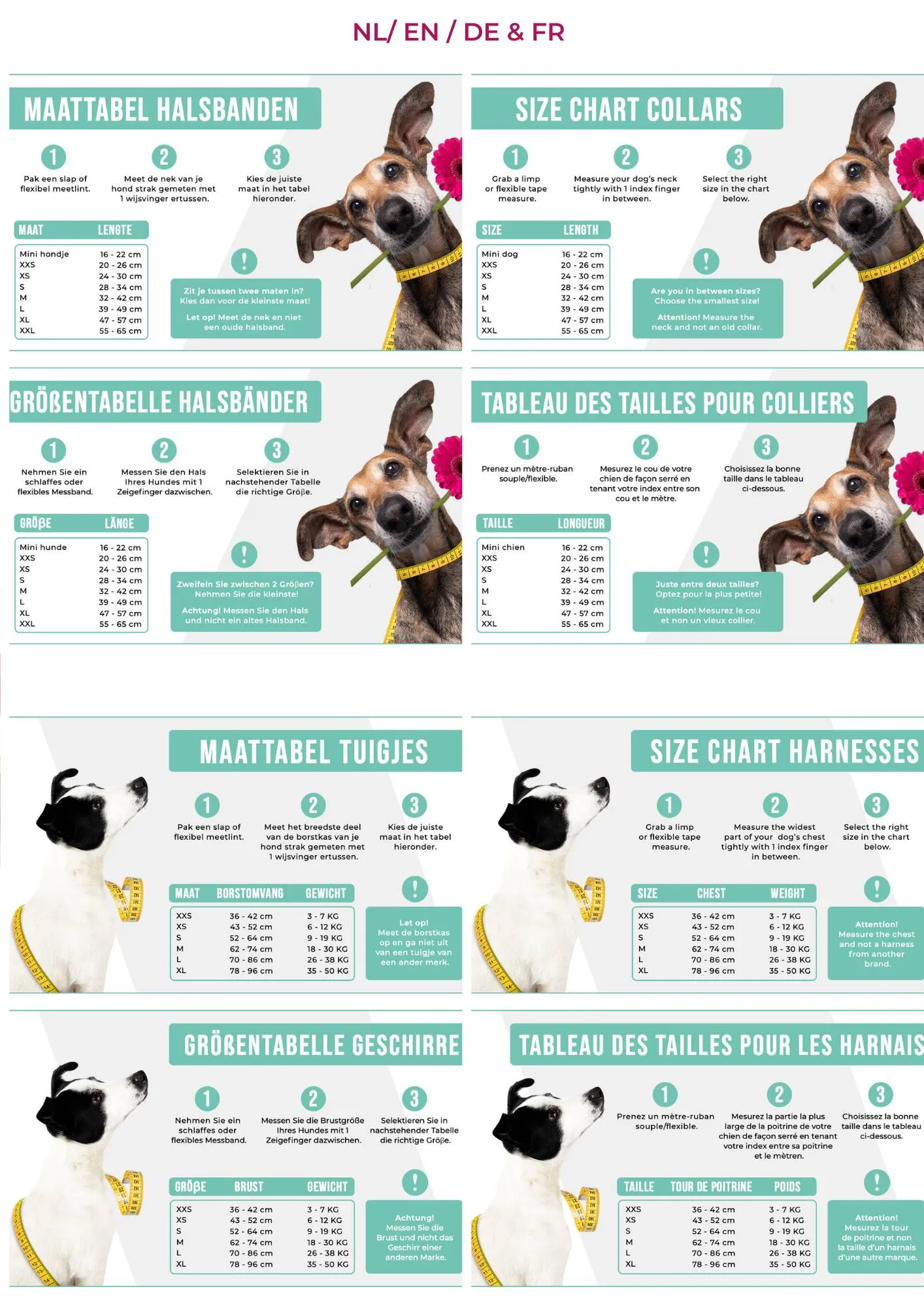 Dog With a Mission  Dog Harness-Teddy