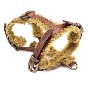 Dog With a Mission  Dog Harness-Teddy