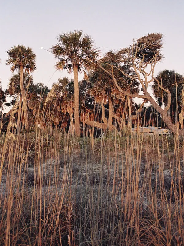 Edisto