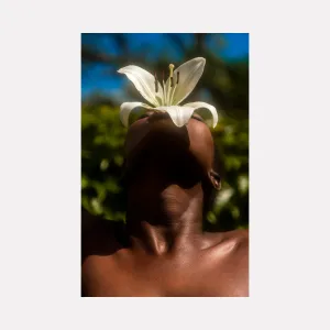 Flower Study IV