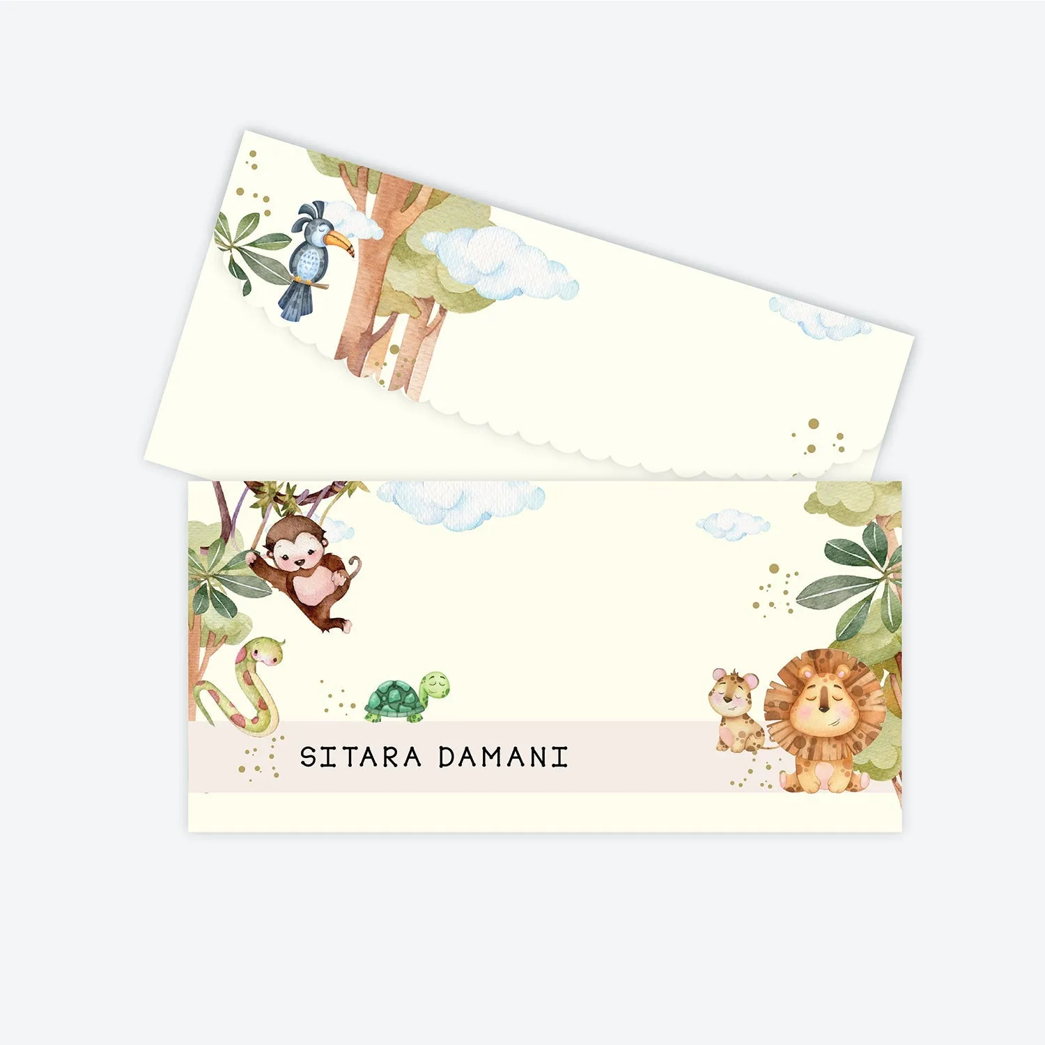 Money Envelopes - Set of 25