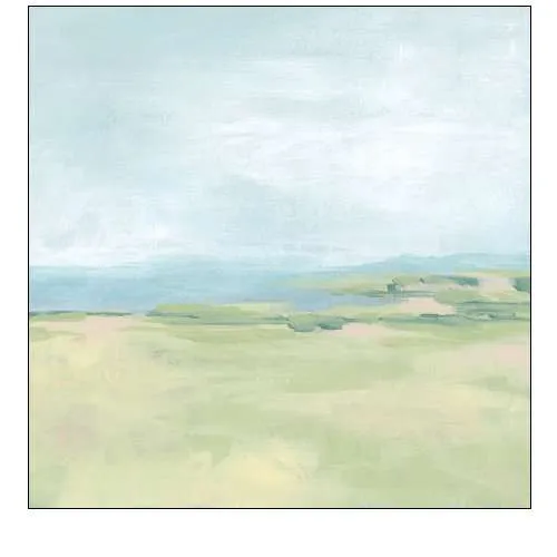 Soft Inlet II