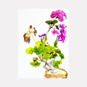 The Geranium