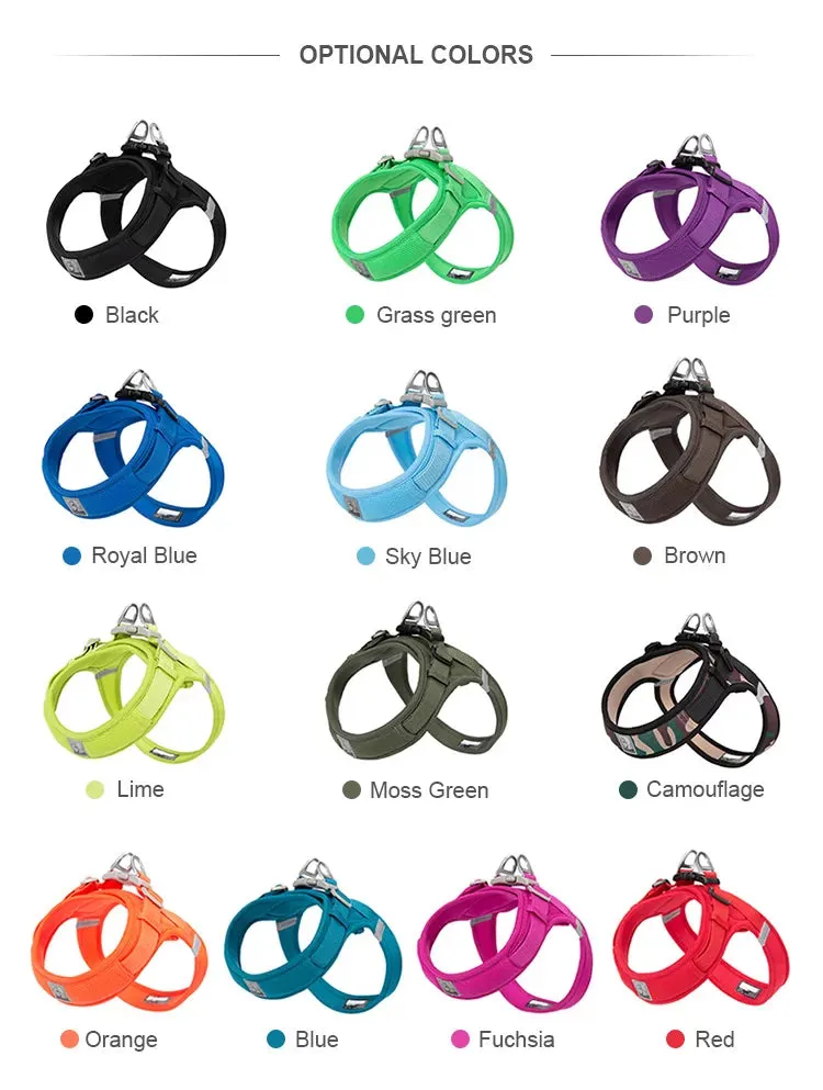 TrueLove Dog Harness TLH30131 - Blue Atoll