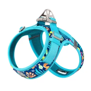 TrueLove Dog Harness TLH30131 - Blue Atoll