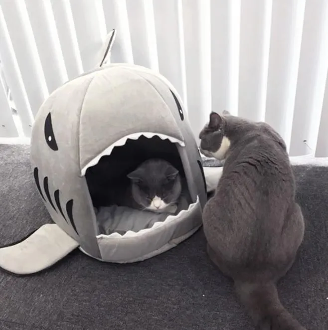 Warm Cozy Shark Cat House