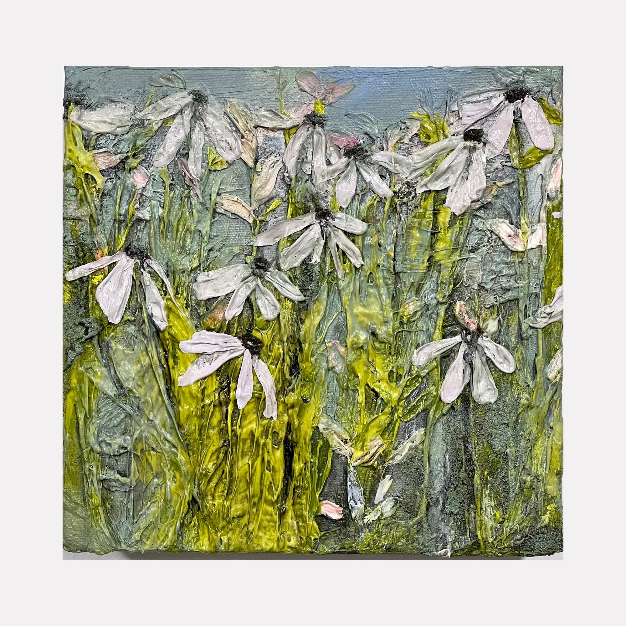 Wildflowers